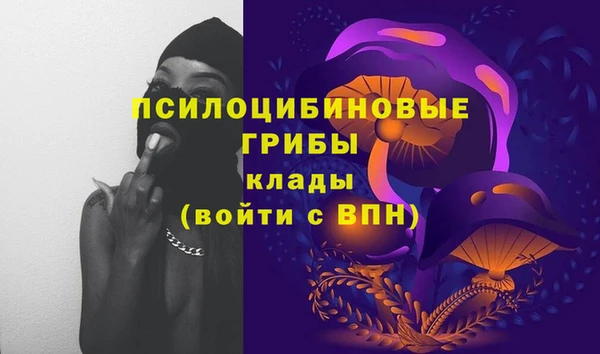 бошки Абдулино