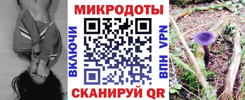 цена   дарк нет как зайти  Псилоцибиновые грибы Psilocybe  Прокопьевск 
