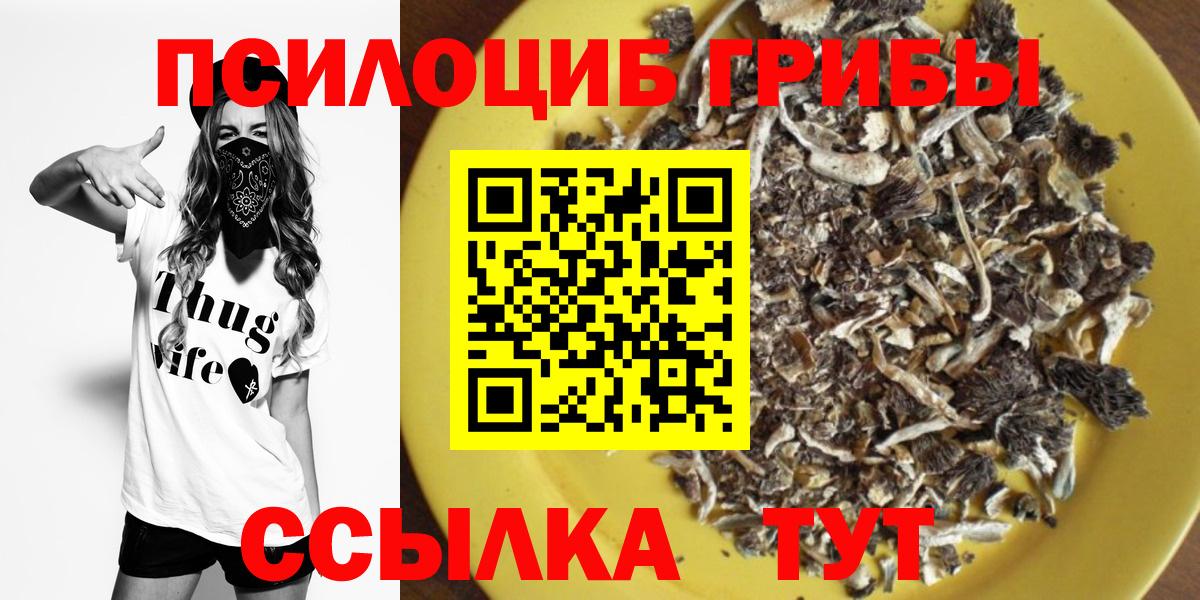 закладка  Вход с VPN  Прокопьевск  Псилоцибиновые грибы Psilocybe  Псилоцибиновые грибы MAGIC MUSHROOMS 